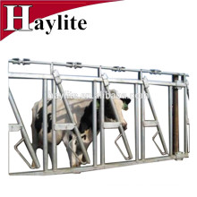 Livestock cattle panel equipment dairy cow headlock for sale